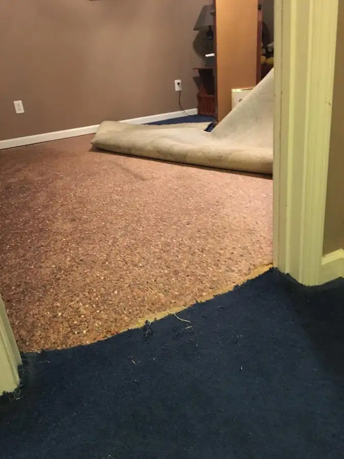 Carpet pad removal revealing water damage during Water Mitigation Services in Palm Harbor
