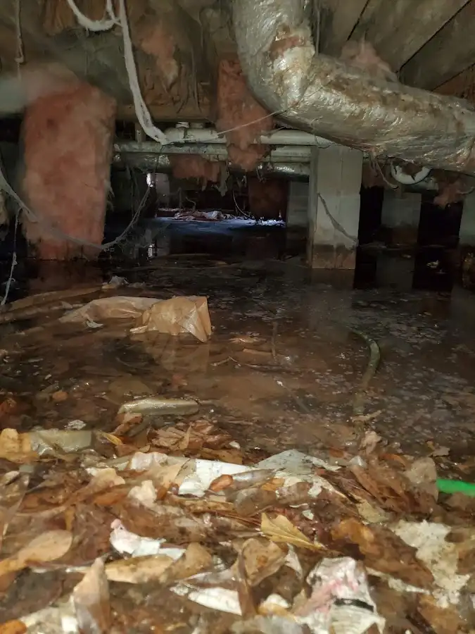 Crawl space flood assessment for Commercial Water Damage Restoration in Palm Harbor