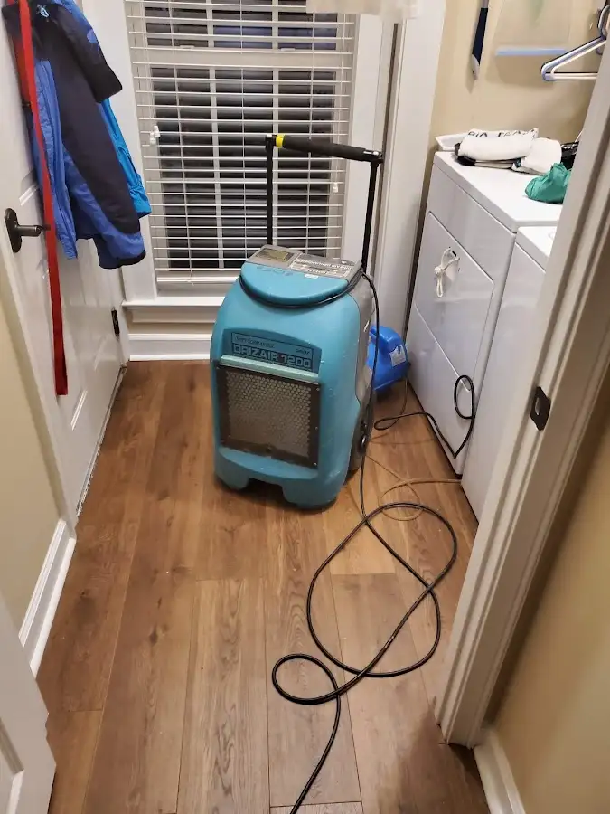 Commercial dehumidifier deployed for Flood Damage Cleanup in Palm Harbor