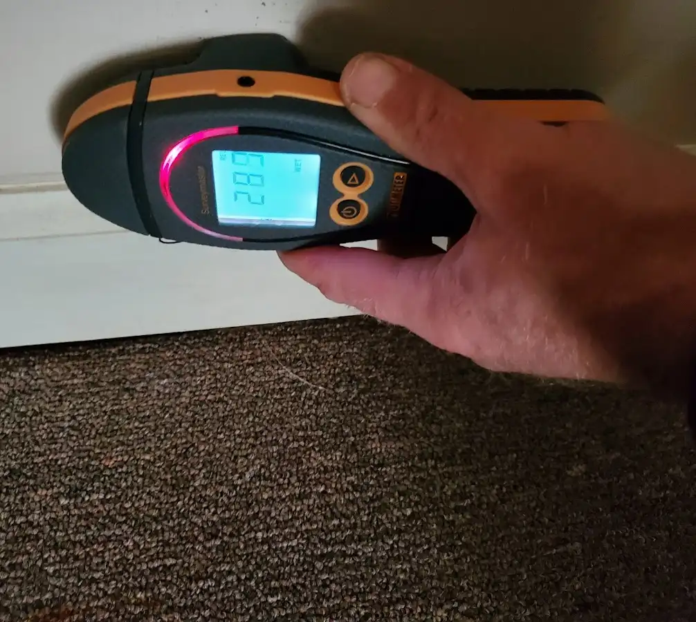 Moisture detection at baseboard during Burst Pipe Cleanup in Palm Harbor