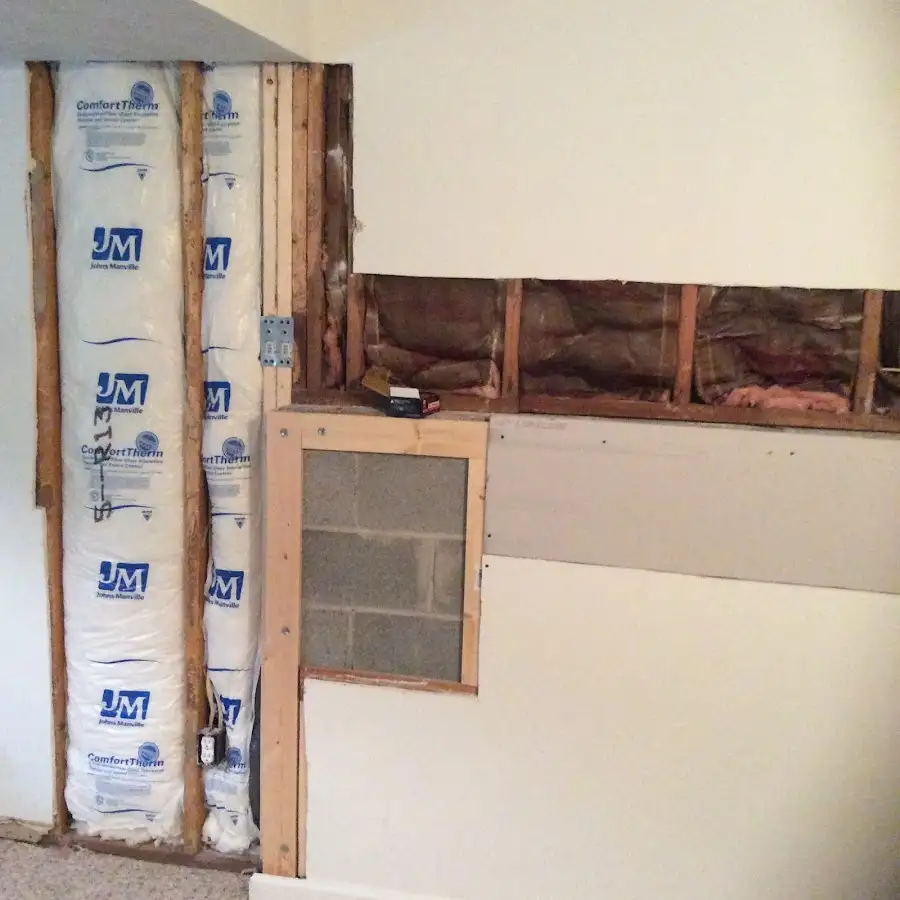 Wall insulation replacement during Structural Drying in Palm Harbor